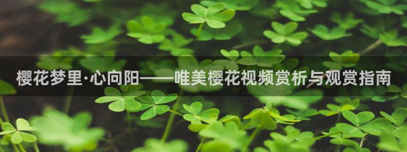 可可影视免费观看电视剧