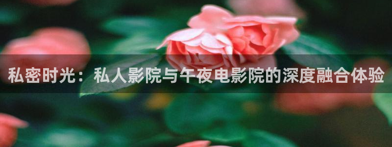 星空影视在线观看全集免费高清