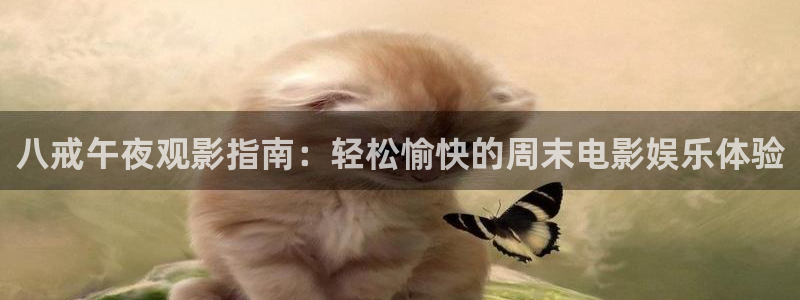 可可影视在线下载