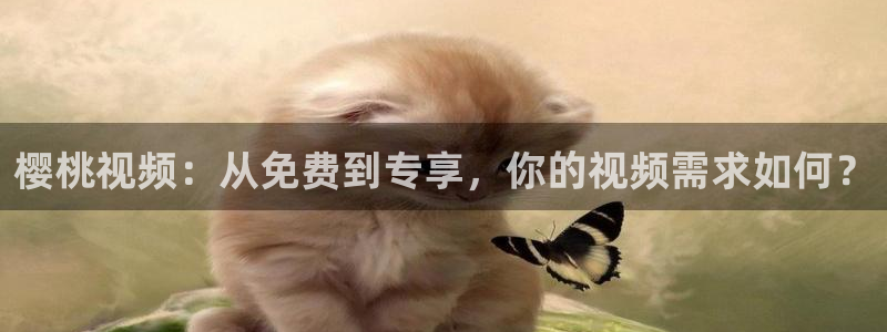 星空影电影