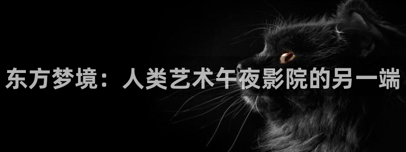 星空传媒影视mv