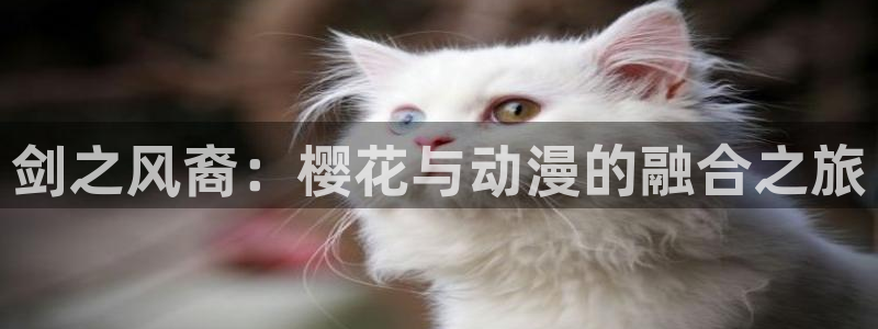 可可影视在线免费观看高清版