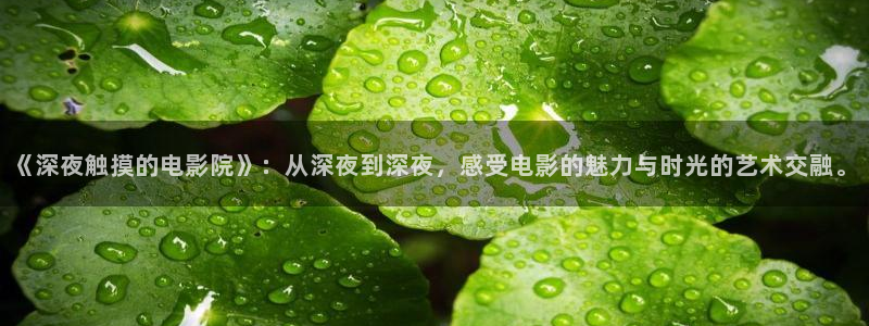 二十不惑星空影视