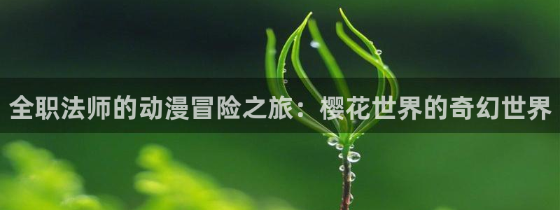 星空影视免费观看电视剧高清