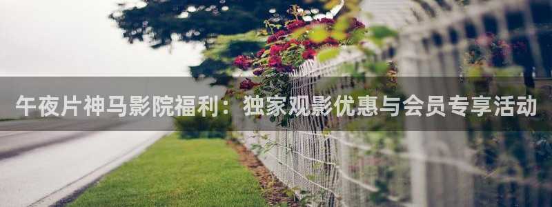 星空传媒免费视频观看
