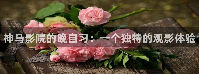 可可影视最新电影推荐
