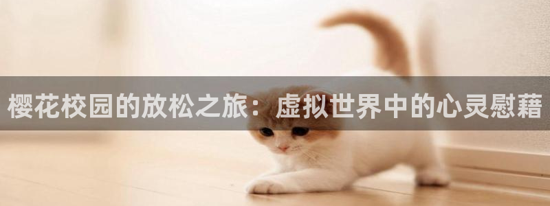 天美星空mv高清免费郭童童