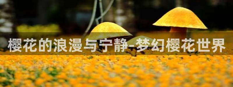 可可影视大全在线观看电视剧