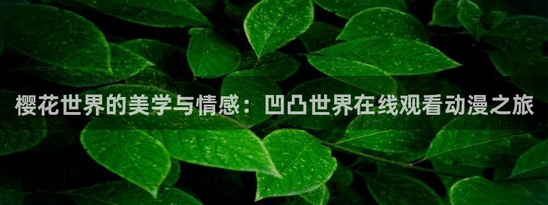 知否知否应是绿肥红瘦免费观看可可影视