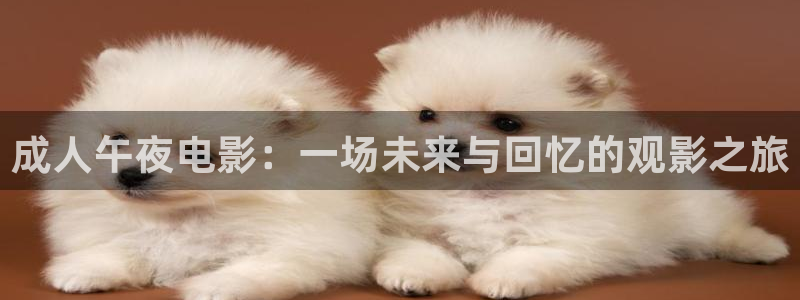 可可影视免费观看完整版高清