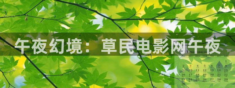 可可影视在线观看免费播放电视剧电影
