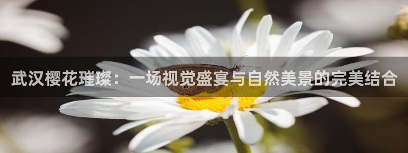 梵高的星空电影