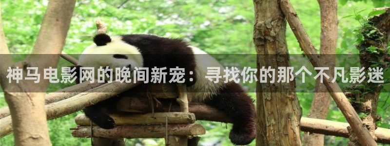 星空无限传媒免费观看电影