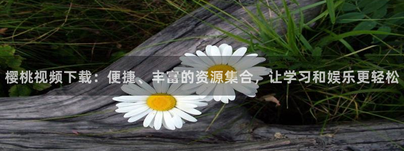 可可影视电视免费播放下载